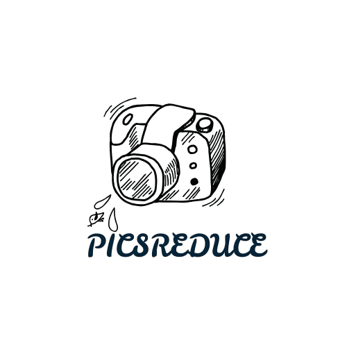 PicsReduce - Free Image Compressor Logo